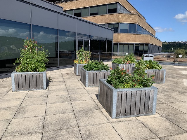 Staff Allotment