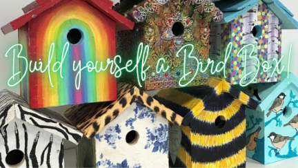 Green Week-Bird Box