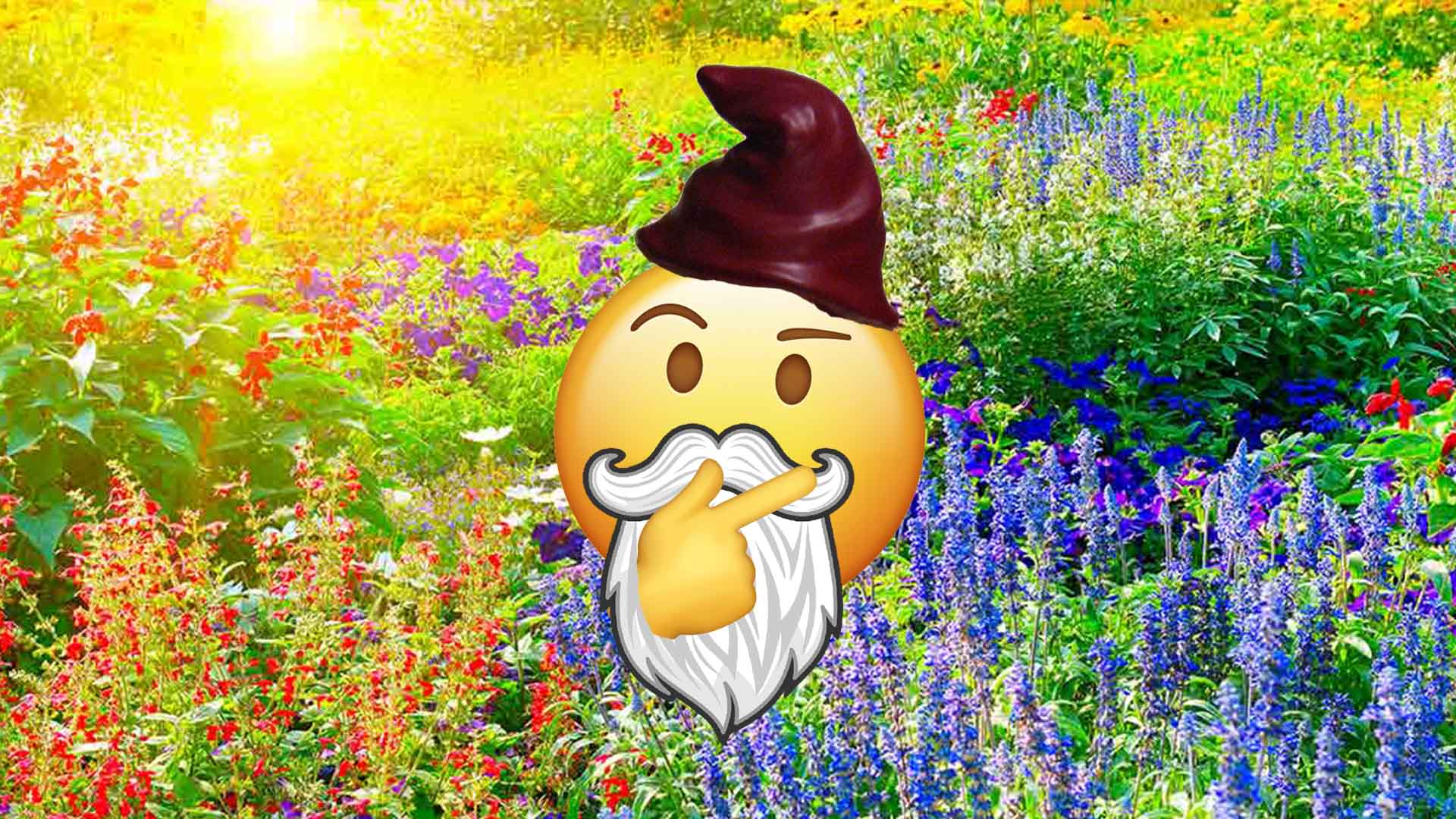 Questioning gnome