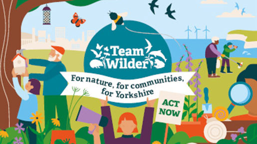 Yorkshire Wildlife Trust