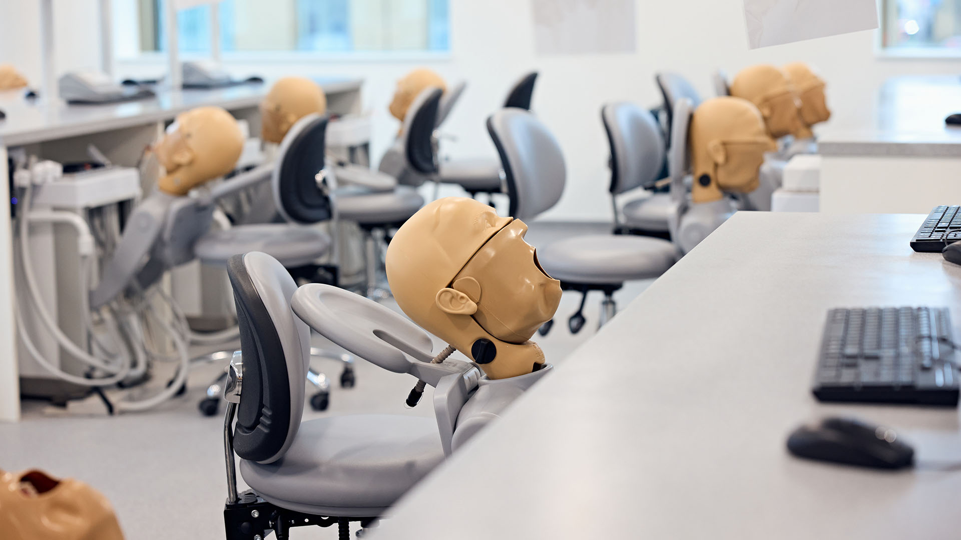 Dummy dental heads
