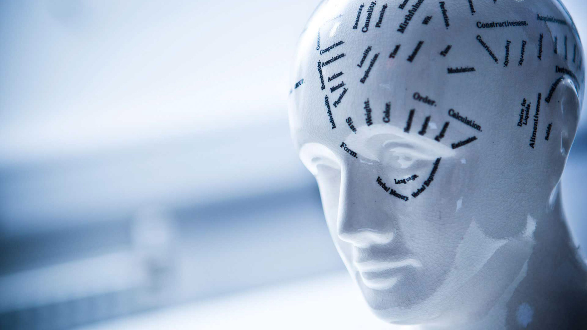 Psychology - Header Image - Head