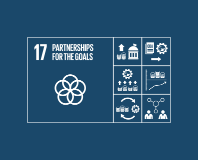 SDG 17 logo